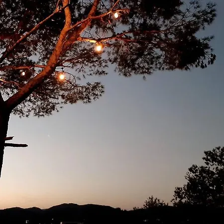 Villa Els Cards - Sitges: Relax By Pool & Pine Trees